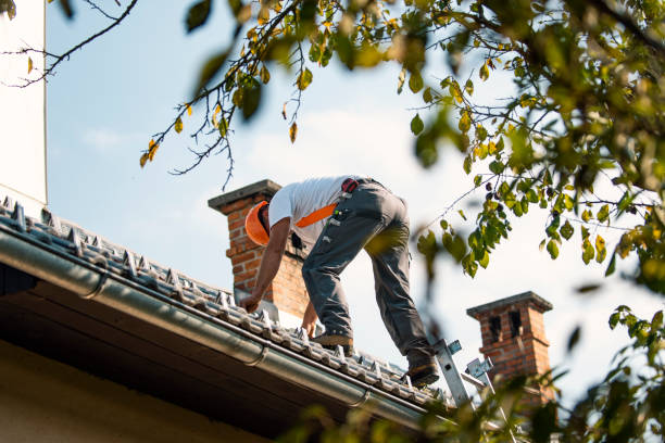 Best Chimney Flashing Repair  in Wailua Homesteads, HI